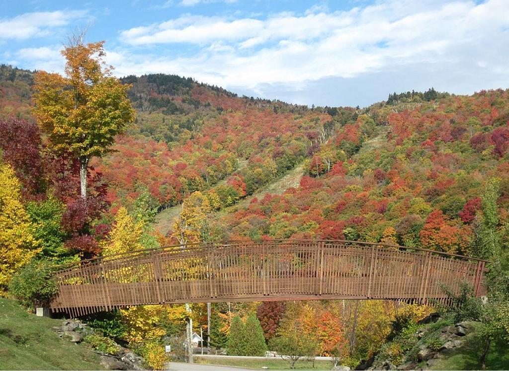 Ski In/Out Trailside Townhome Killington Zewnętrze zdjęcie