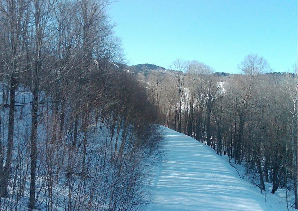 Ski In/Out Trailside Townhome Killington Zewnętrze zdjęcie